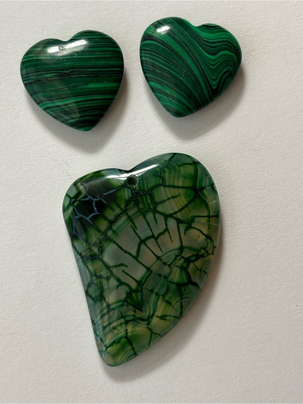 Close Up Vein Stem Leaf Phototropism Color Rock